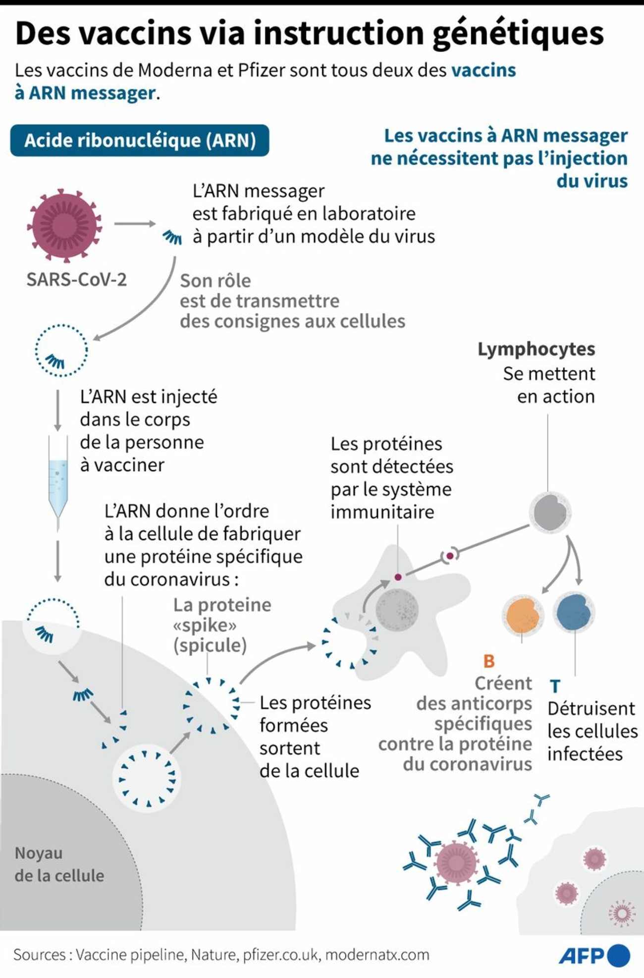 Comment Faire Un Schéma De Déroulement D un Essai Expérience Vaccins : faire face à la logique capitaliste | L'Anticapitaliste